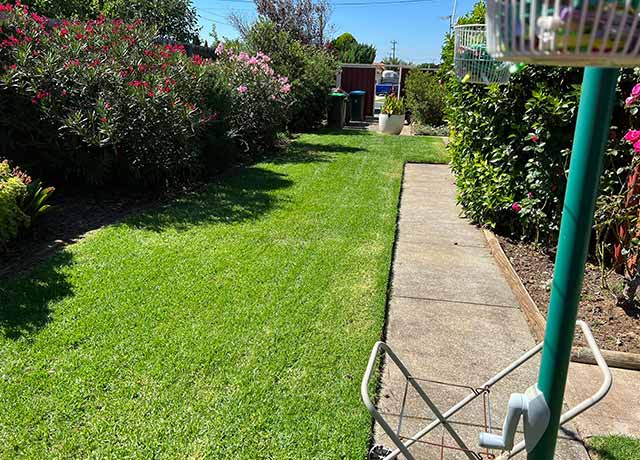 Milone's Lawn Mowing Wyndham 1