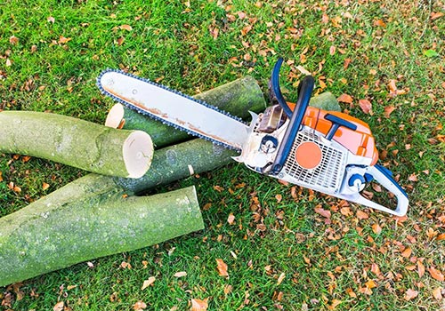Tree Removal Geelong