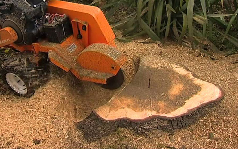 Professional Stump Grinding Melbourne