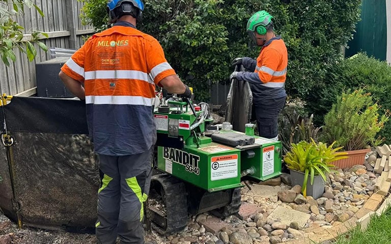 tree stump grinding equipment