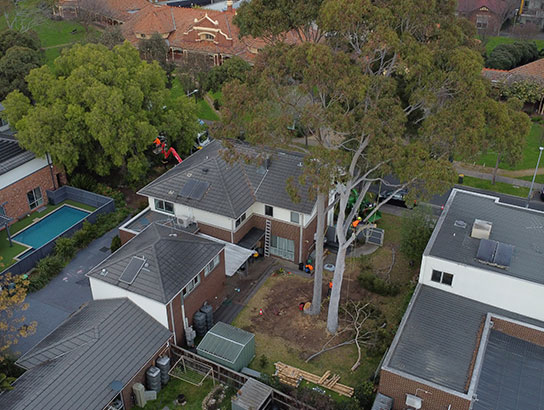 Aerial view of our Arborists working Lara, Victoria.