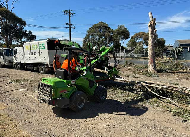 Using a loading to chip tree trunks for tree removal werribee