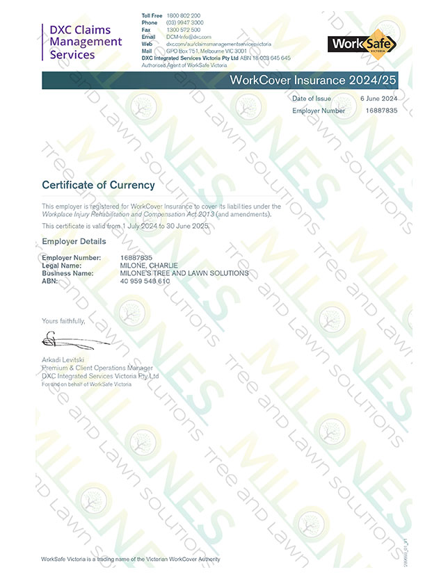 workcover cert of currency milones