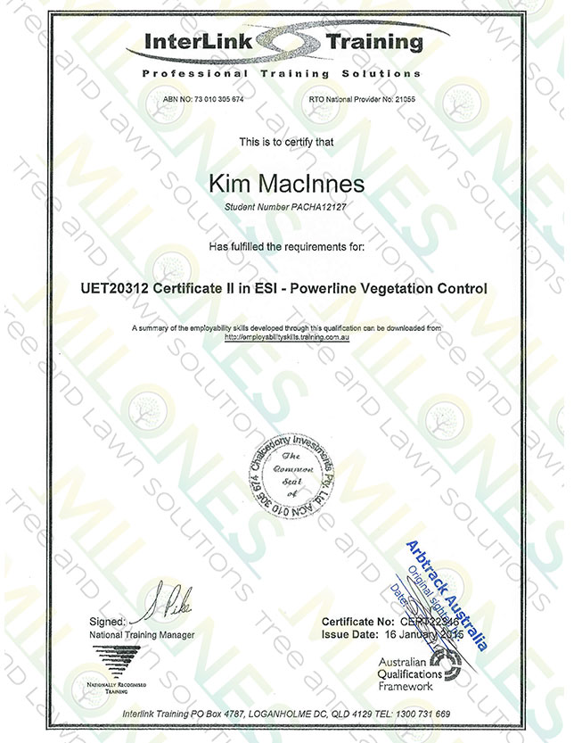 Certificate II in ESI macinnes