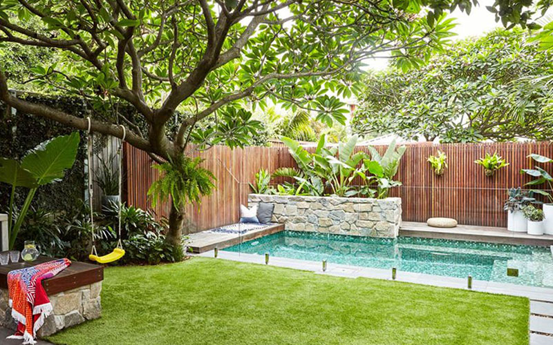 Trees Around Pools - When & How To Remove Them