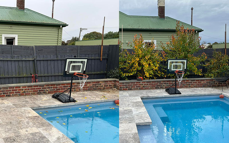 before after tree removal near pool