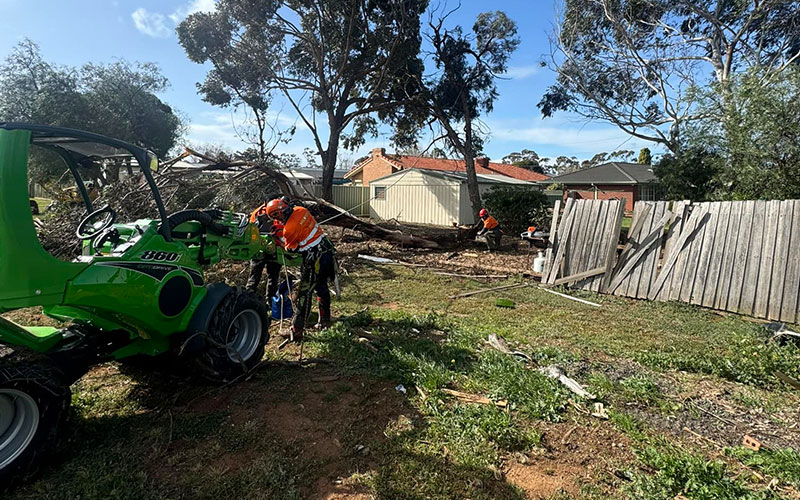 Confined Space & Tight Access Tree Removal melbourne