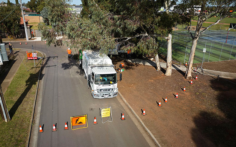 Confined Space & Tight Access Tree Removal – Melbourne 2