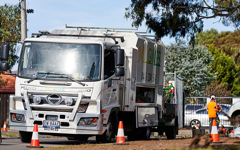 Confined Space & Tight Access Tree Removal – Melbourne 5