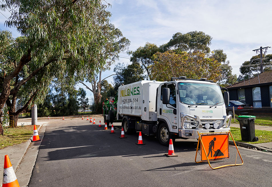 Confined Space & Tight Access Tree Removal – Melbourne Feat Image