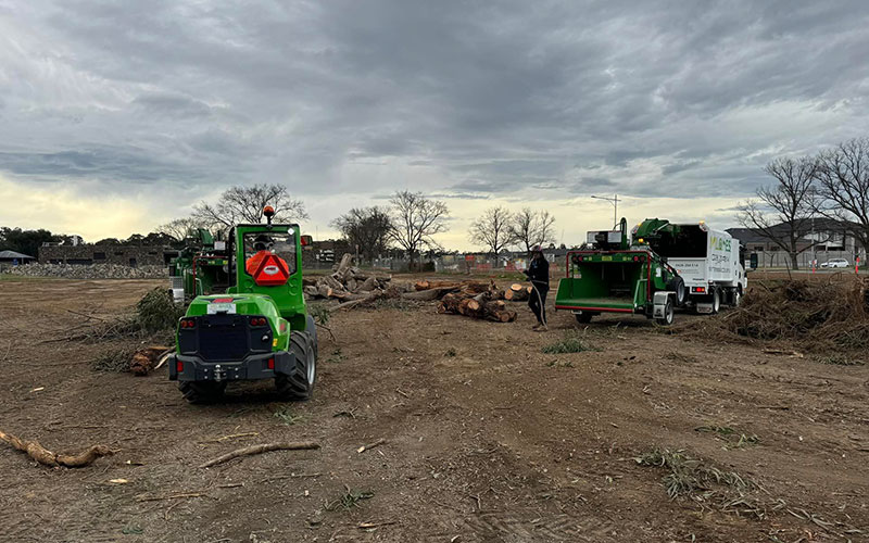 specialised equipment for tree removal