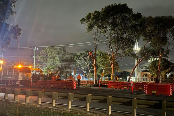 Tree Land Clearing Melbourne & Geelong