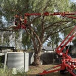 Arborist using a red spider lift to trim large tree branches in a residential backyard