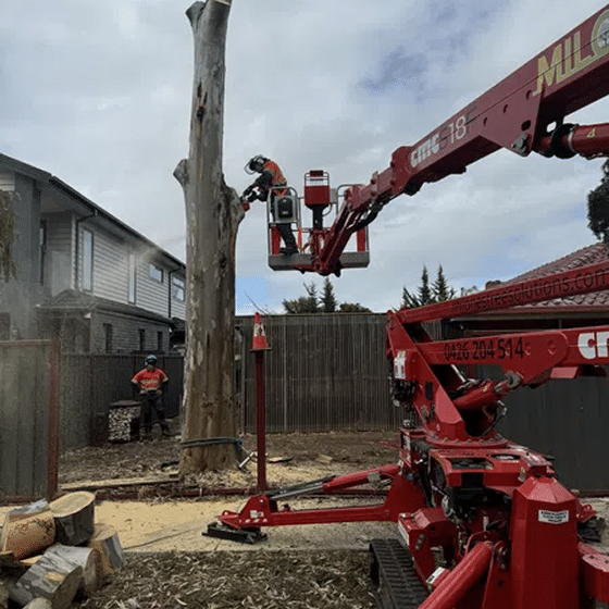 Milone's Tree Solutions - Melbourne & Regional Victoria