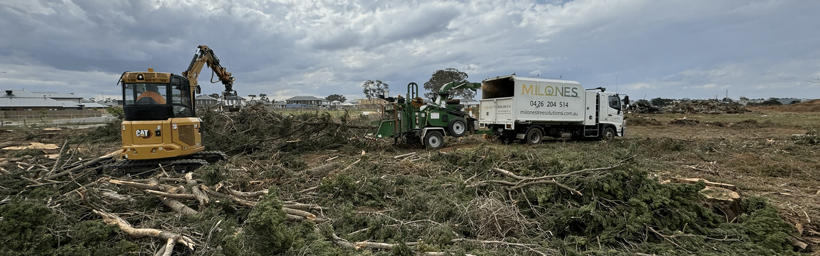 Professional tree services Melbourne banner