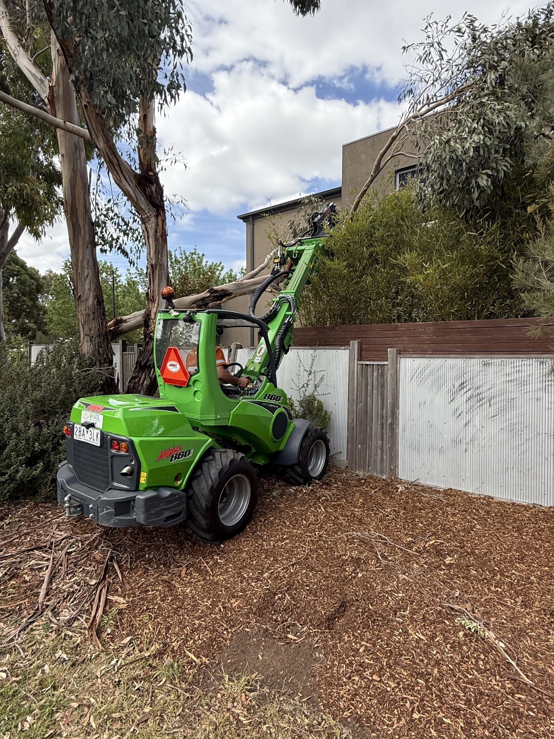 Emergency storm damage tree removal Melbourne