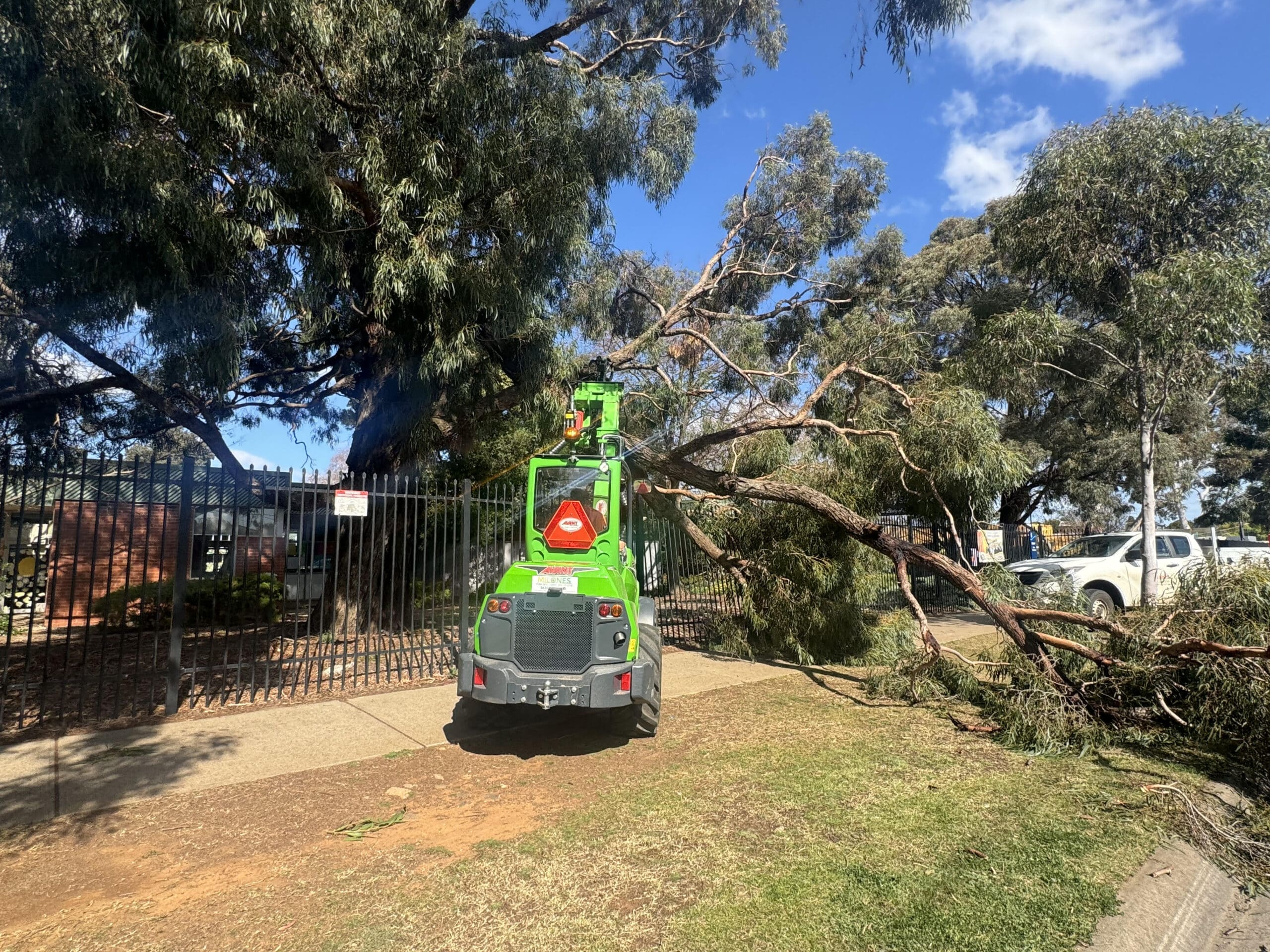 24/7 emergency tree services Melbourne