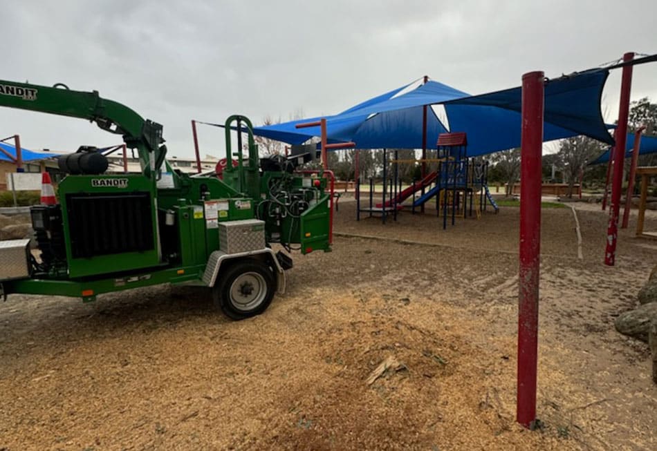 Hazardous Tree Removal Services Melbourne