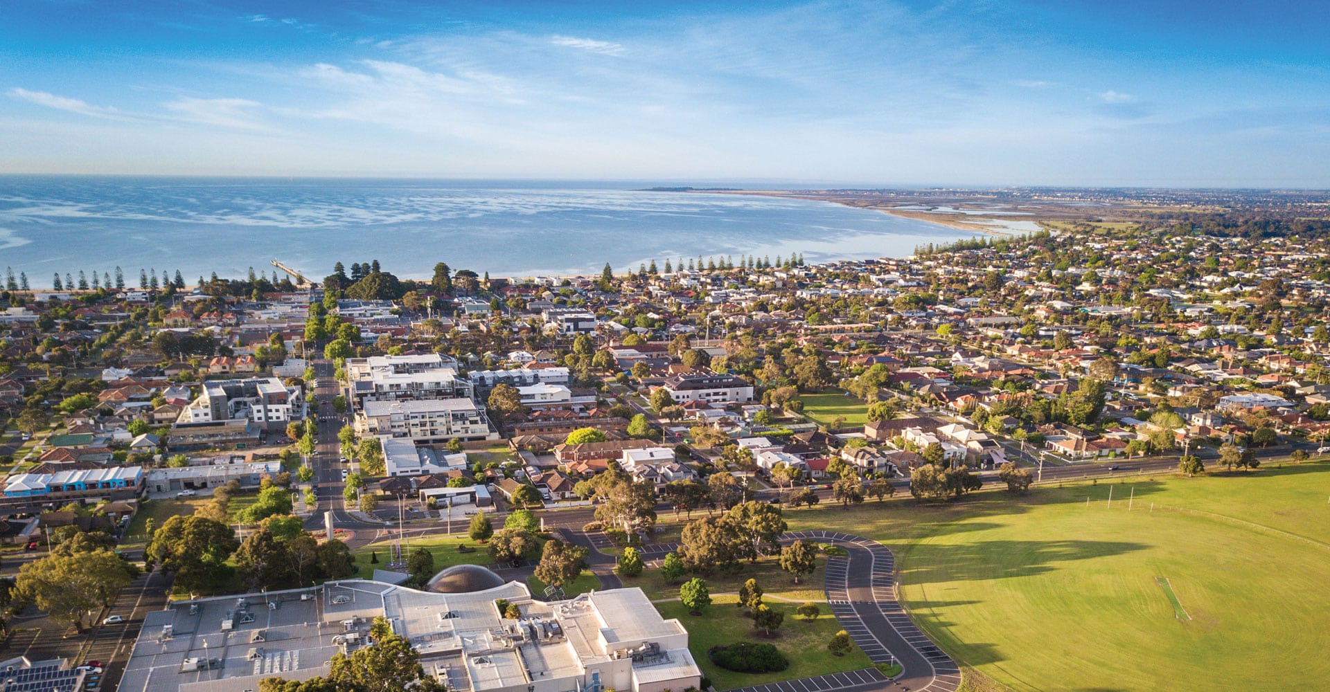 Hobsons Bay Council Tree Removal