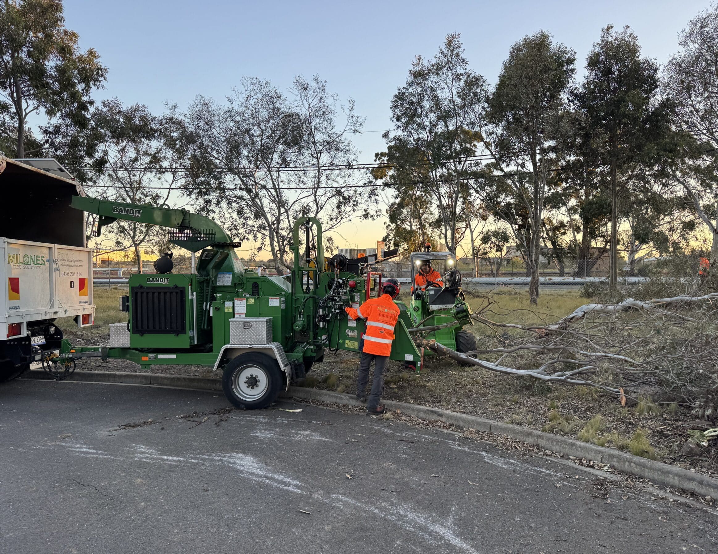 Tree Chipping and Mulching Services Melbourne