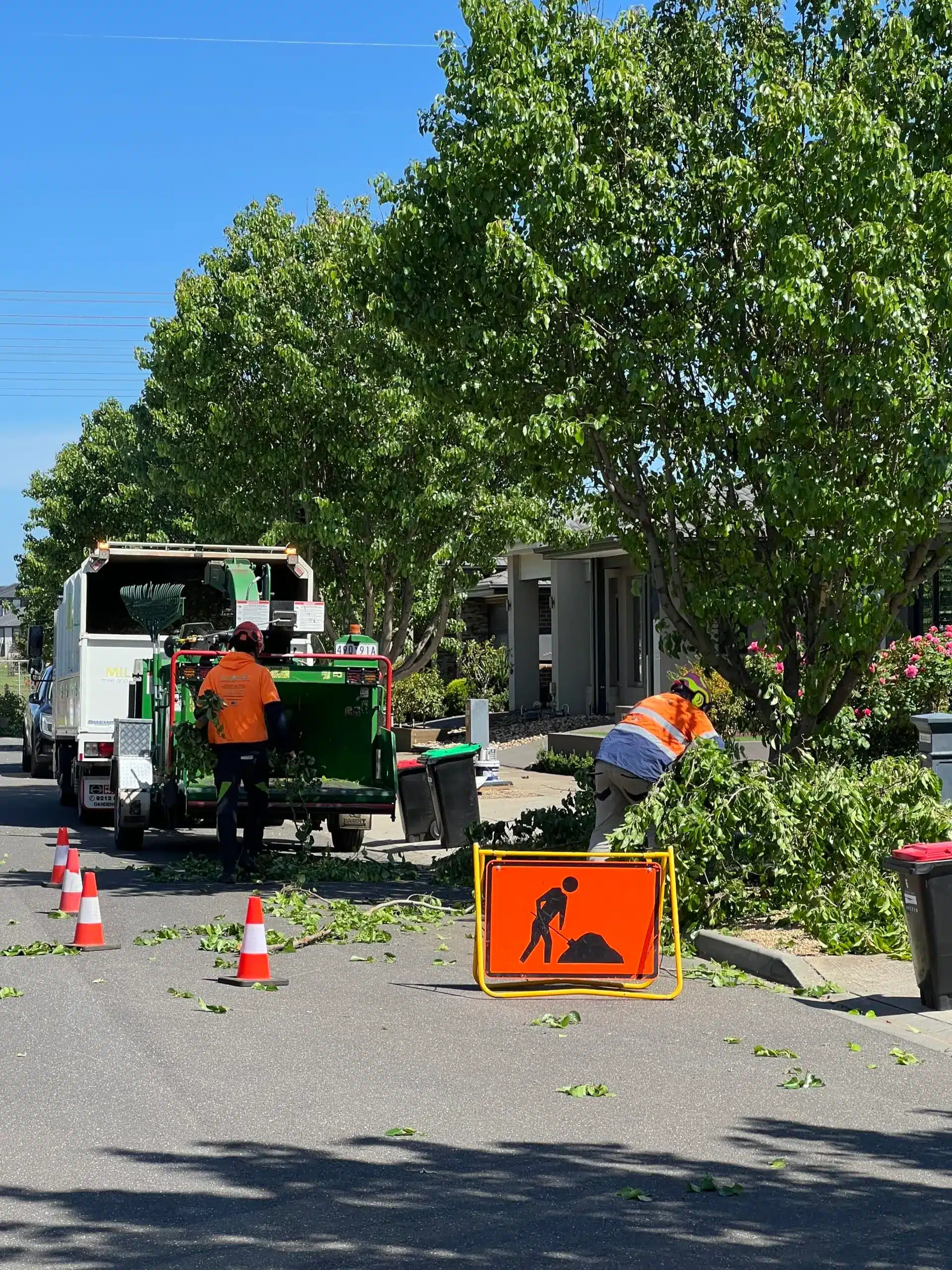 Tree Canopy Lifting Services Melbourne & Regional VIC - Milone's Tree ...