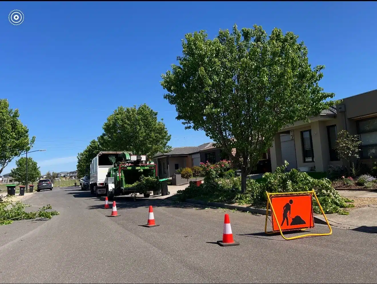 Tree Canopy Lifting Services Melbourne & Regional VIC - Milone's Tree ...