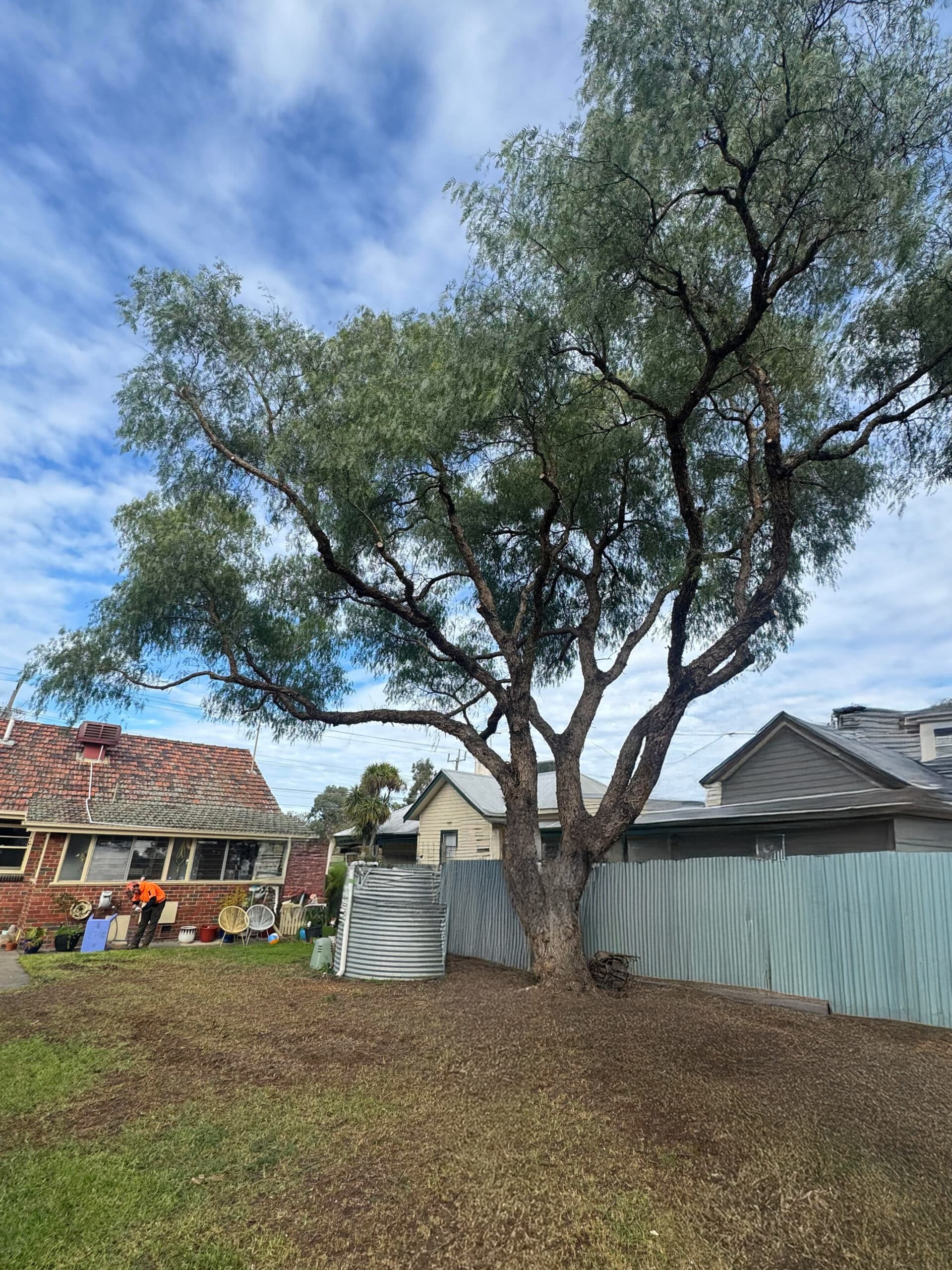 Tree Crown Reduction Services Melbourne