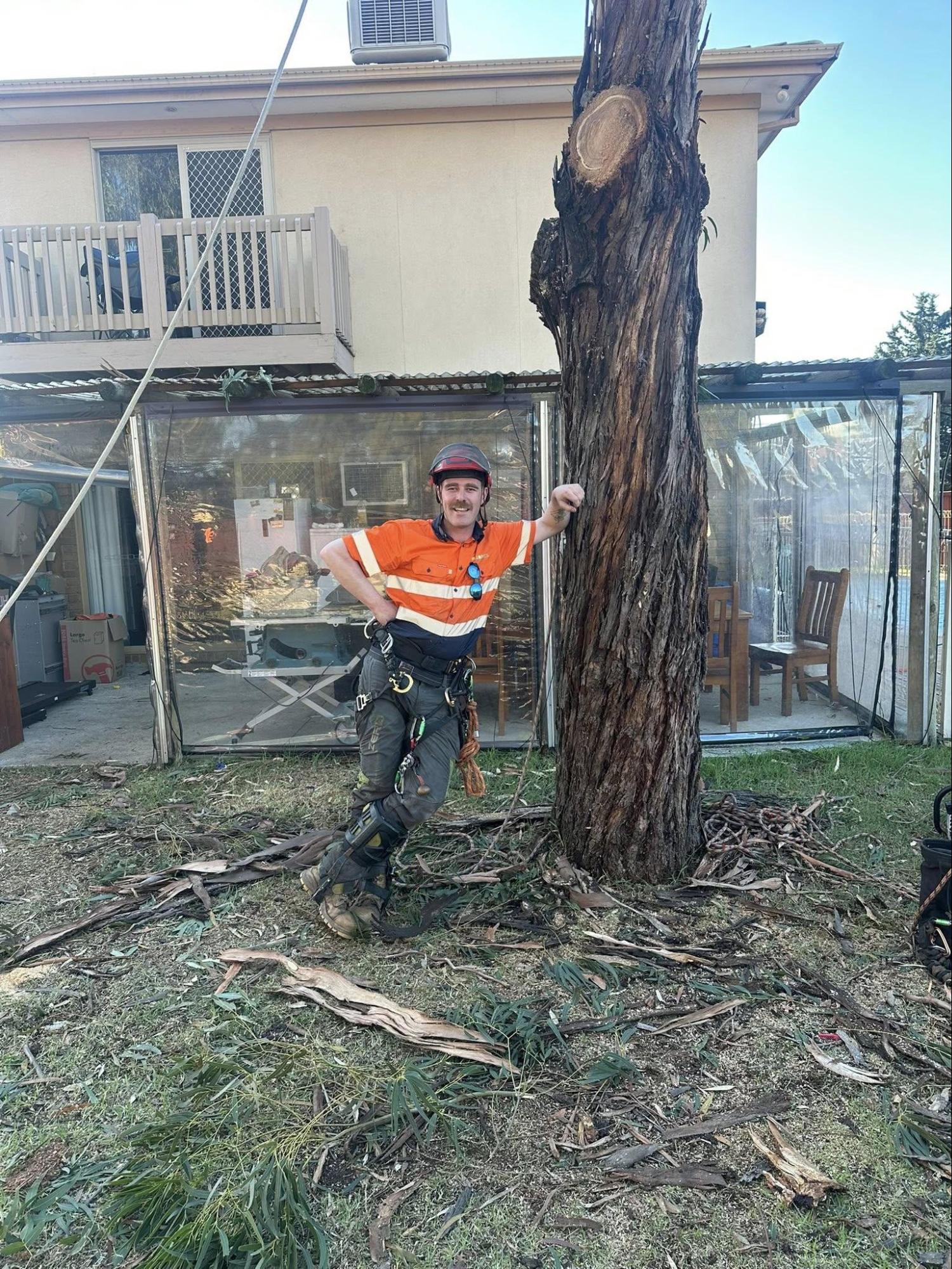 Milone's Tree Solutions - Melbourne & Regional Victoria