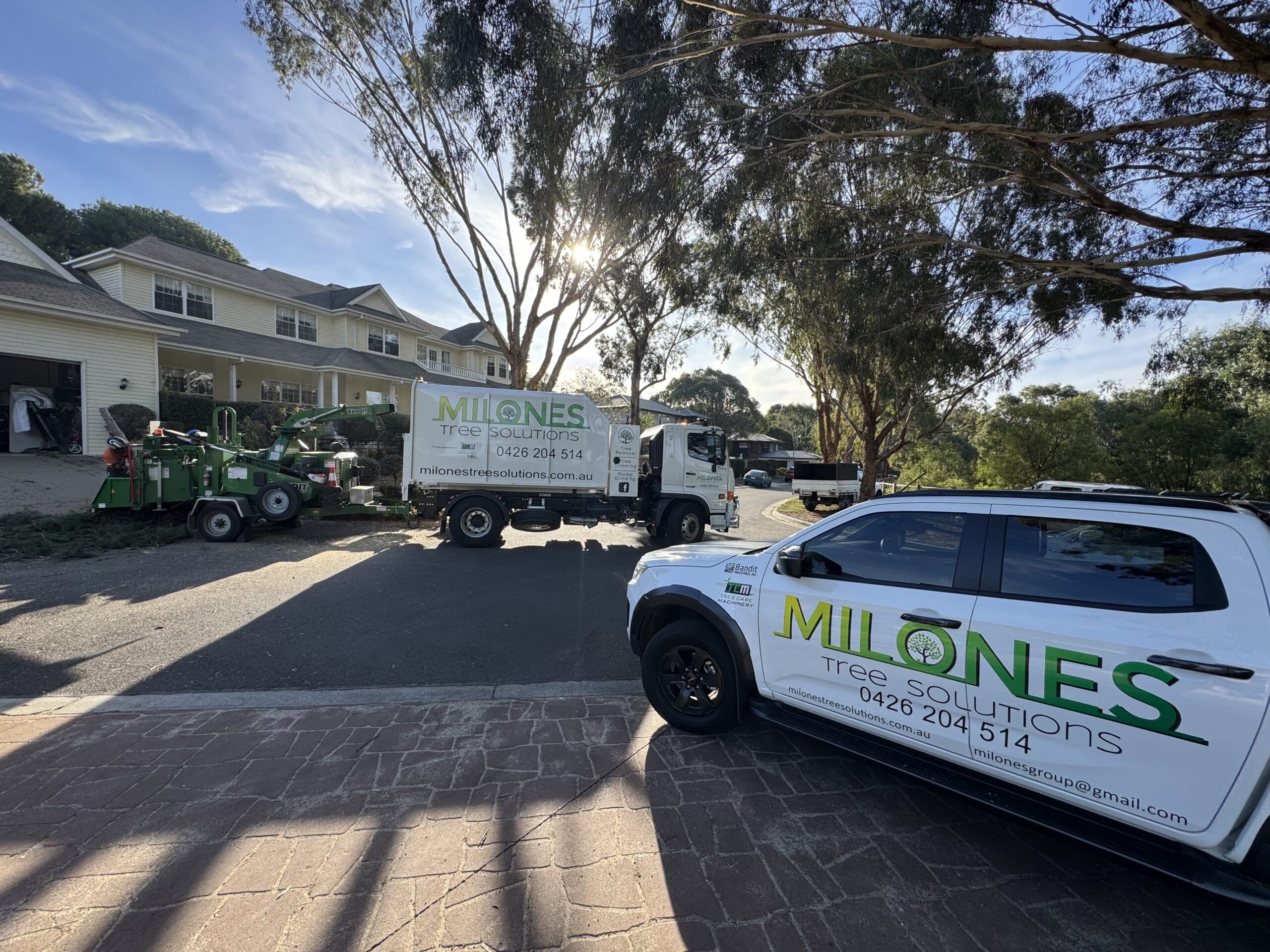 Council tree removal regulations and permit information Victoria