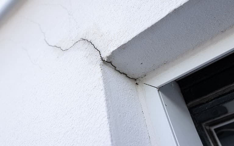 tree root damage wall crack