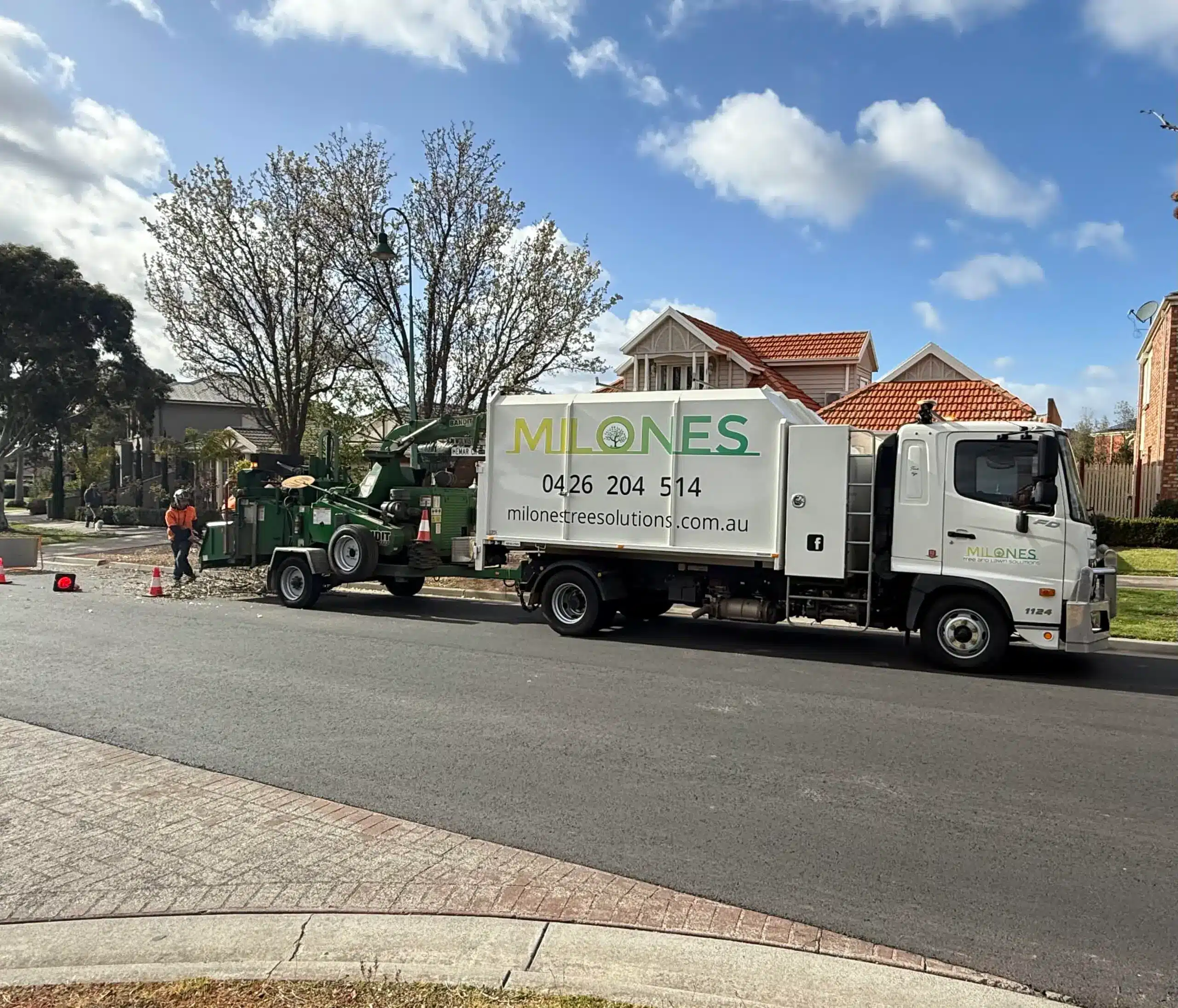 Arborist Tree Trimming Services Melbourne & Regional Victoria - Milone ...