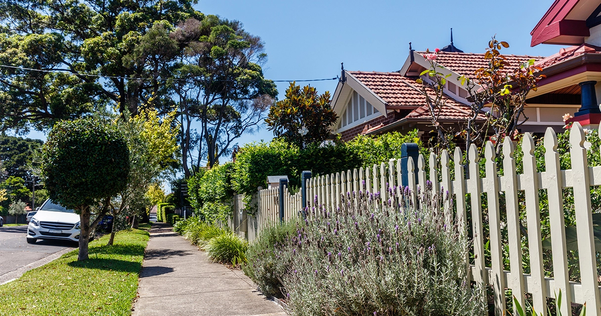 Well-maintained trees improving residential property value in Melbourne