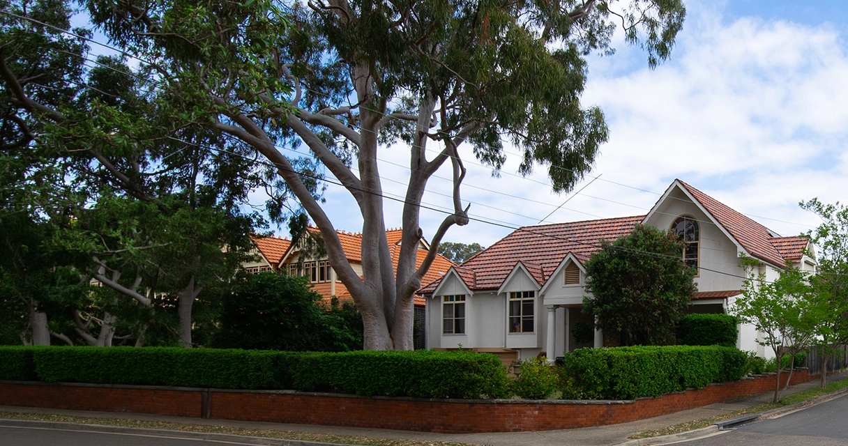Arborist performing a tree risk assessment before recommending tree removal