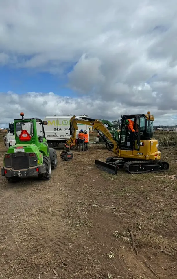 Land clearing machinery removing trees and vegetation from a rural property