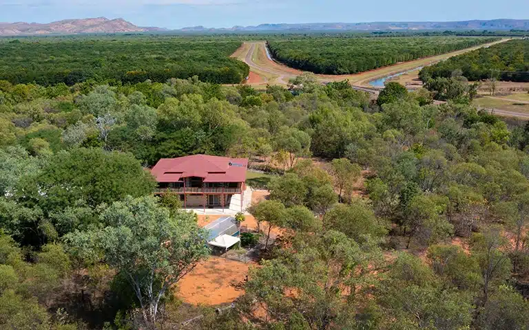 Dense vegetation and undergrowth around a property